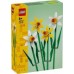 Klocki Botanicals Display Slim