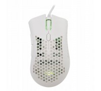 Baracuda BGM-031 Coral biały