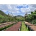 RWANDA MUHABURA ROYAL ROBUSTA OMNIROAST 1kg