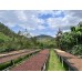 RWANDA MUHABURA ROYAL ROBUSTA OMNIROAST 1kg