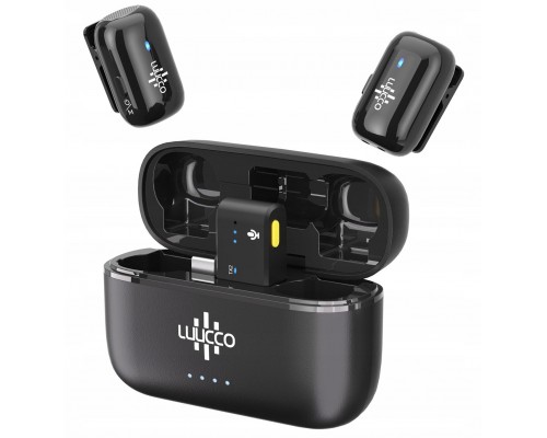 Luucco MiniPods K2 USB-C Black 2 pcs. + case (SB11229)