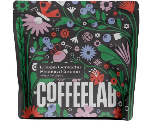 Coffeelab Coffeelab - kawa ziarnista Etiopia Gemechu Shonora Kurume Washed Filter 250 g