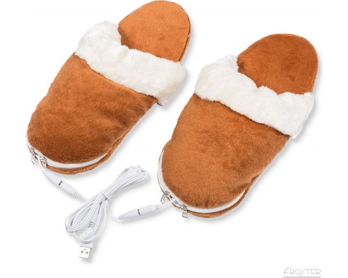 Froster USB heated slippers for computer work