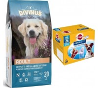 Divinus DIVINUS Adult dorosłe psy 20kg+ pedigree małe racesy