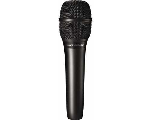 Audio-Technica AT2010