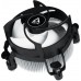 Arctic Alpine 17 (ACALP00040A)