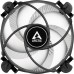 Arctic Alpine 17 (ACALP00040A)