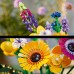LEGO Icons Wildflower Bouquet (10313)