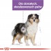 Royal Canin Royal Canin CCN Medium Sterilised Adult Dog 12kg