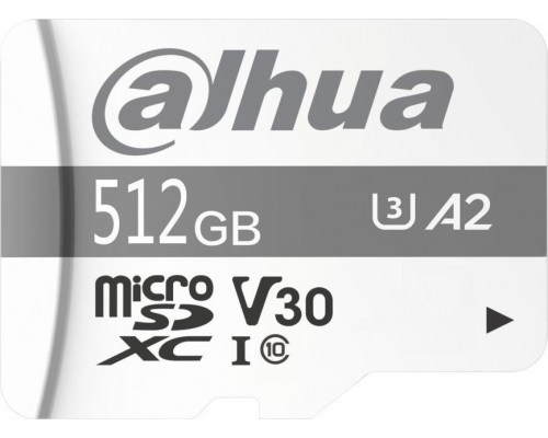 SD  Dahua Technology TF-P100 MicroSDXC 512 GB Class 10 UHS-I U3 A1 V30 (TF-P100-512GB)