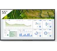 Sony Bravia FW-55BZ30L