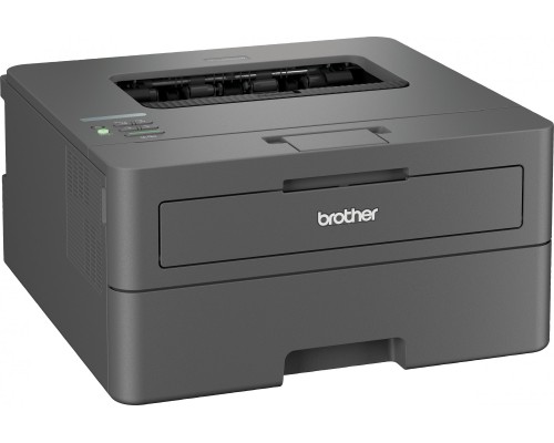 Brother HL-L2442DW (HLL2442DWYJ1)