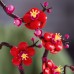 LEGO Icons Plum Blossom (10369)