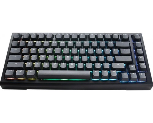 Ducky Tinker 75  RGB - MX-Speed Silver (ISO-DE)