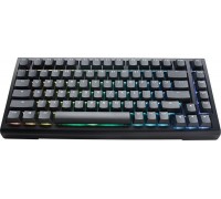 Ducky Ducky Tinker 75 Gaming Keyboard, RGB, Black - MX-Blue (ANSI)