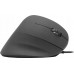 Speedlink Speedlink mouse Piavo Vertical USB (SL-610019-RRBK)