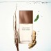 ISSEY MIYAKE l'Eau d'Issey Pour Homme Vetiver EDT spray 100ml