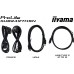 iiyama ProLite XUB2497HSN-W2