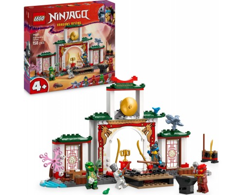 Ninjago World of Spinjitzu Ninja (71831)