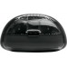 JBL Tune Flex 2 Ghost Edition black (JBLTFLEX2GBLK)