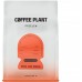 COFFEE PLANT - kawa ziarnista Peru San Pablo Washed Filter 250 g