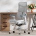 Sihoo DORO S100 Mesh White