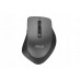 Asus WT425 MOUSE/GY