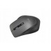 Asus WT425 MOUSE/GY