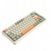   AK820MAX - Retro Colour - Flying Fish Switch - 8000 mAh