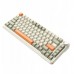   AK820MAX - Retro Colour - Flying Fish Switch - 8000 mAh