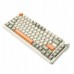   AK820MAX - Retro Colour - Flying Fish Switch - 8000 mAh
