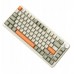   AK820MAX - Retro Colour - Flying Fish Switch - 8000 mAh