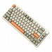  AK820MAX - Retro Colour - Flying Fish Switch - 8000 mAh