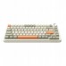   AK820MAX - Retro Colour - Flying Fish Switch - 8000 mAh