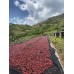 RWANDA MUHABURA NATURAL ESPRESSO 1kg