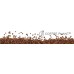 Drip Bag Coffee COFFEE PLANT Very Berry 10 szt.