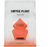 Coffee Plant COFFEE PLANT Costa Rica Obietnica 250g