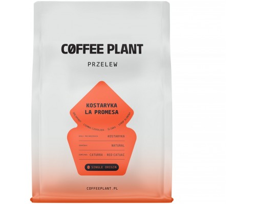 Coffee Plant COFFEE PLANT Costa Rica Obietnica 250g