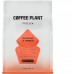 Coffee Plant COFFEE PLANT Costa Rica Obietnica 250g