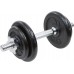 Eb Fit cast iron 1 x 10 kg