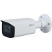 Dahua Technology IPC-HFW1431T-ZS-2812-S4