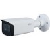 Dahua Technology IPC-HFW1431T-ZS-2812-S4