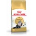 Royal Canin Persian Adult karma sucha dla kotów adults rasy perskiej 10 kg