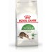 Royal Canin Outdoor karma sucha dla kotów adults, wychodzących na zewnątrz 4 kg