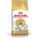 Royal Canin Norwegian Adult 2 kg