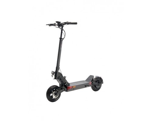 Motus Pro 10 2022