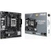 AMD A620 Asus PRIME A620M-E-CSM
