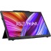 Asus ProArt PA169CDV Touch (90LM0711-B01I70)