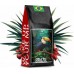 Blue Orca Coffee Kawa ZIARNISTA BRAZYLIA 2kg 100% ARABICA - BLUE ORCA COFFEE