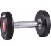 inSPORTline ‎‎Hantel Profi rubberized 1 x 12 kg